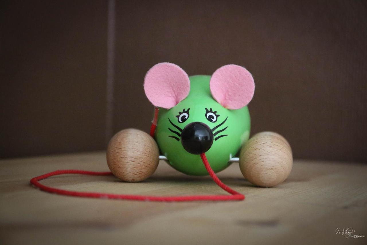 Gite De La Souris Verte Molamboz Dış mekan fotoğraf